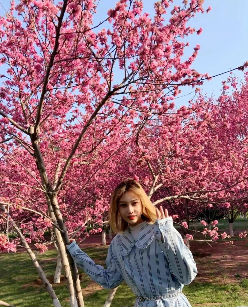 Huiling Profile image 4