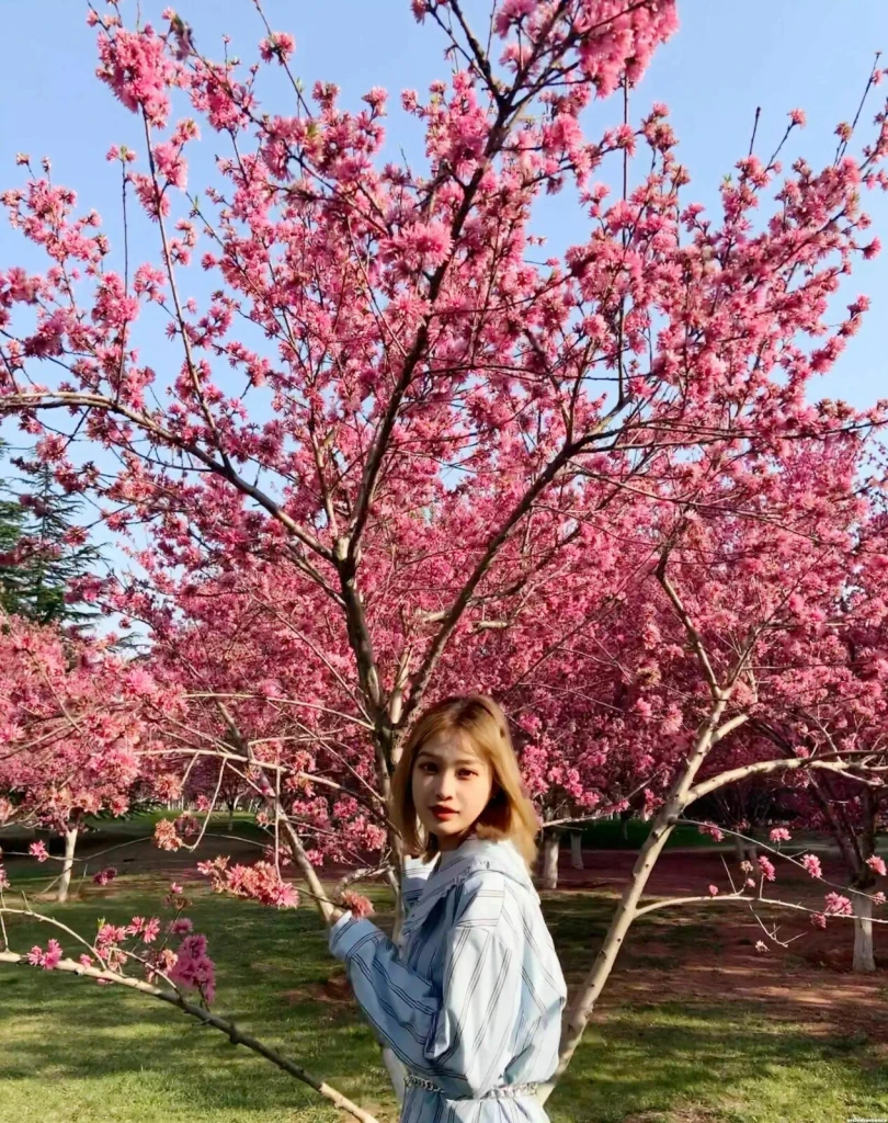 Huiling Profile image 5